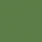 Хлопок однотонный приглушенный зеленый 2642